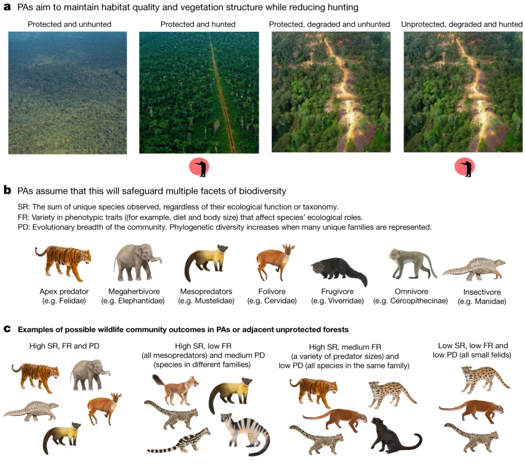 Landscape scale benefits of protected areas for tropical